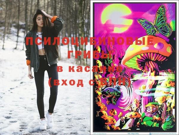 гидра Богородск