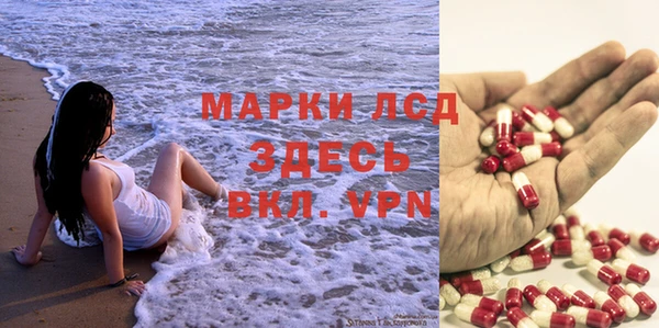 гидра Богородск