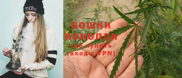 эйфоретик Белоозёрский