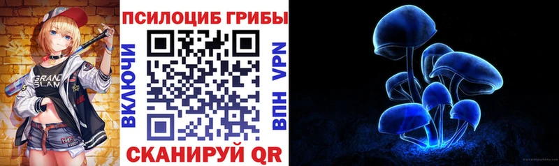 darknet как зайти  Богданович  Галлюциногенные грибы мухоморы  мега сайт 